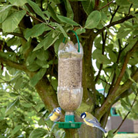Bird Feeder Kit