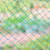 Bird Protection Net - 4m x 20m