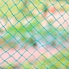 Bird Protection Net