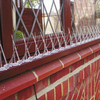 BirdBan Anti-perching Spikes