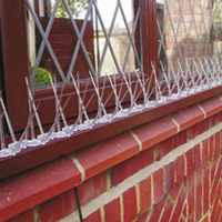 BirdBan Anti-perching Spikes