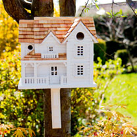 Birdhouse - Kingsgate Cottage