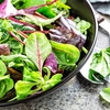 Bistro Salad Mix Plants