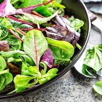 Bistro Salad Mix Plants