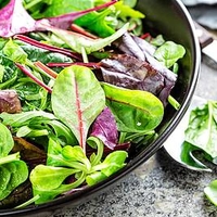 Bistro Salad Mix Plants