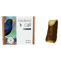 Blackbird Call