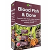 Blood Fish and Bone