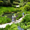 Bluebell Railway Steam Train Trip and Visit to Wakehurst Botanic Garden for Two