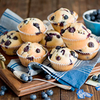 Blueberry Plant - Ultimate Collection