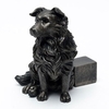 Border Collie Pot Feet