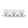 Botanical Herb Pots