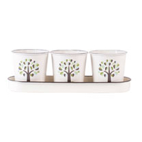 Botanical Herb Pots