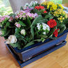 Bouquet Box - LUCKY DIP