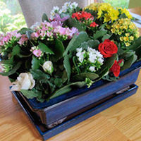 Bouquet Box - LUCKY DIP