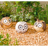 Bright Eye Owl Spotlights