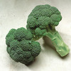 Broccoli Seeds - Olympia F1