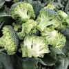 Broccoli Seeds - Stromboli F1