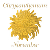 Brooch - November