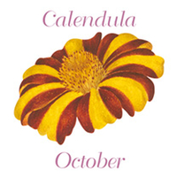 Brooch - October