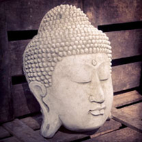 Buddha Head