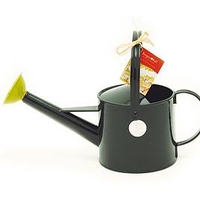 Budding Gardener 1 Litre Watering Can