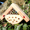 Bug Box & Bee Habitat