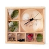 Bug Box / Dual Magnifier