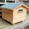 Bumblebee Villa and Colony plus Replacement Colony
