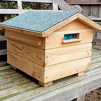 Bumblebee Villa and Colony plus Replacement Colony