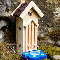 Butterfly Habitat