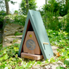 Butterfly Habitat