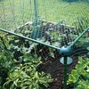 Butterfly Protection Cage