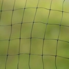 Butterfly Protection Netting