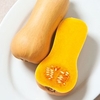 Butternut Squash Plant - Butterscotch