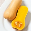 Butternut Squash Plant - Butterscotch