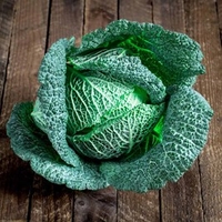 Cabbage (Savoy) Seeds - Cordesa F1