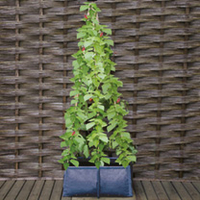Cane Patio Planter