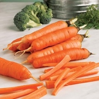 Carrot Seeds - Early Nantes 5