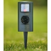 Catwatch & Mains Adaptor