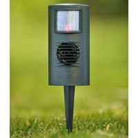 Catwatch & Mains Adaptor