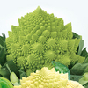 Cauliflower Plants - Romanesco Early