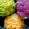 Cauliflower Plants - Tri-colour Collection