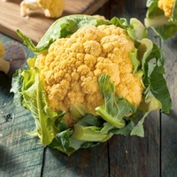 Cauliflower Seeds - Cheddar F1