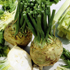 Celery/Celeriac Plants - Twin Pack