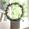 Ceropegia String of Hearts Hoop