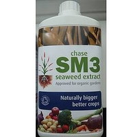 Chase Seaweed - 3 Steps to Success Offer