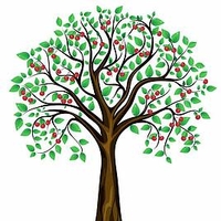 Cherry Tree - Duo Napoleon Bigarreau/Variks Black