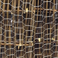 Chicken Wire - 13cm