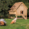 Chicken Coop - Large