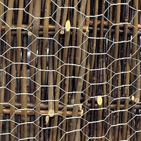 Chicken Wire